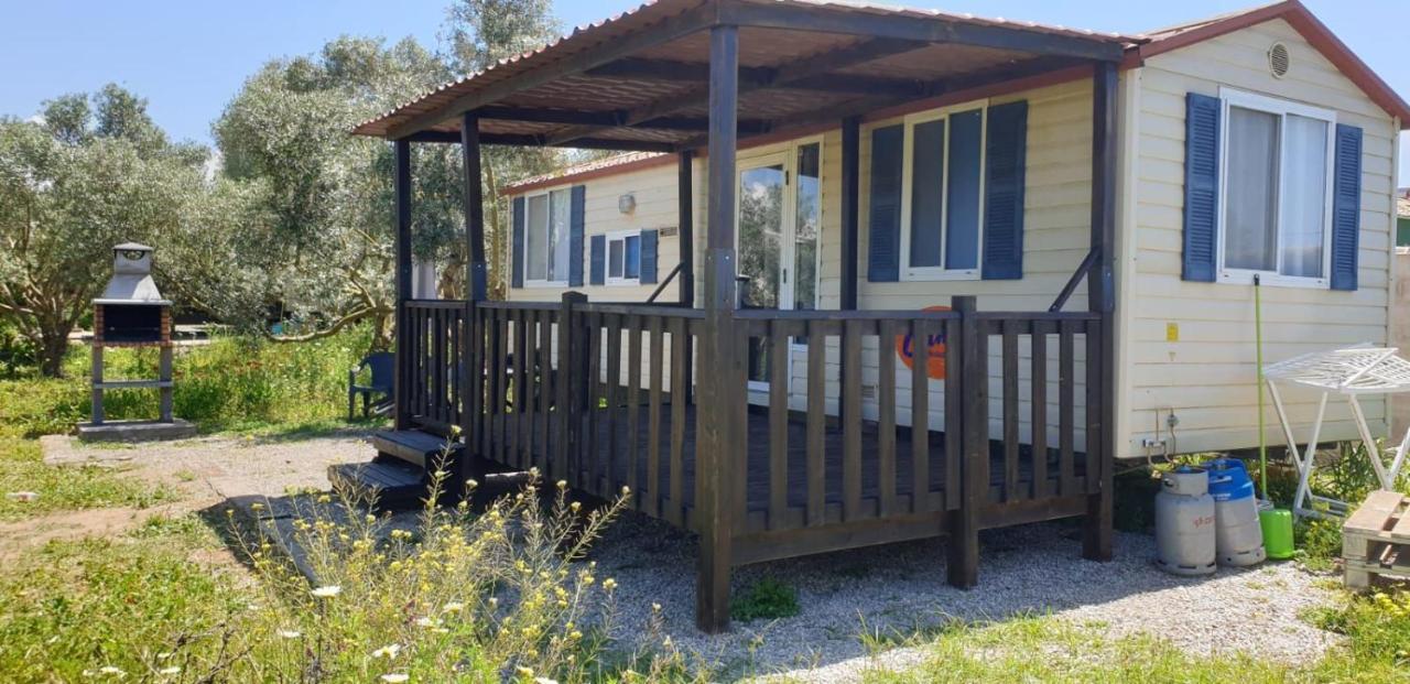 Vila Chiclana Mobile House - Piscina , Wi-Fi, Relax Chiclana de la Frontera Exteriér fotografie